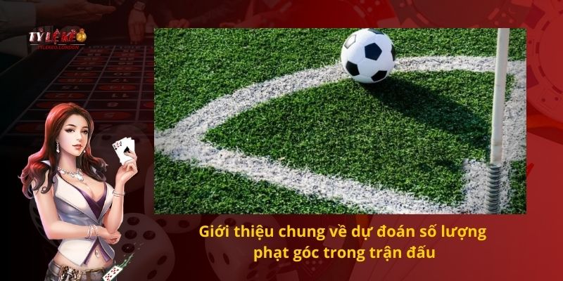 Giới thiệu chung về dự đoán số lượng phạt góc trong trận đấu